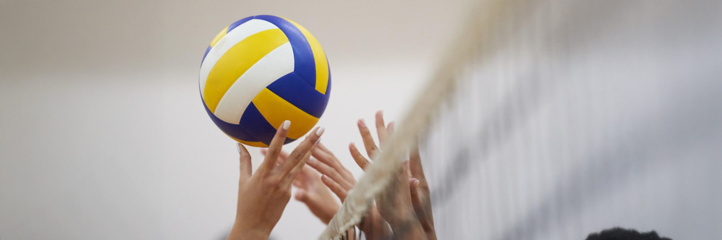 VOLLEYBALL